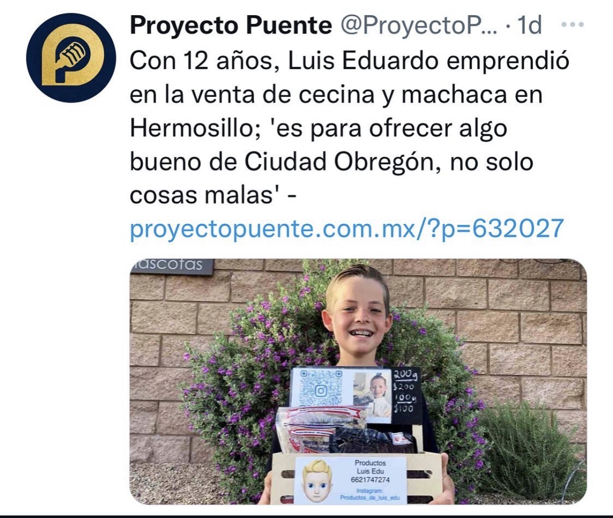 Nota de Proyecto Puente